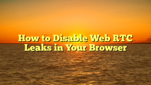 How to Disable Web RTC Leaks in Your Browser