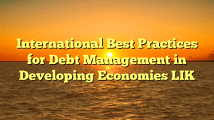 International Best Practices for Debt Management in Developing Economies LIK